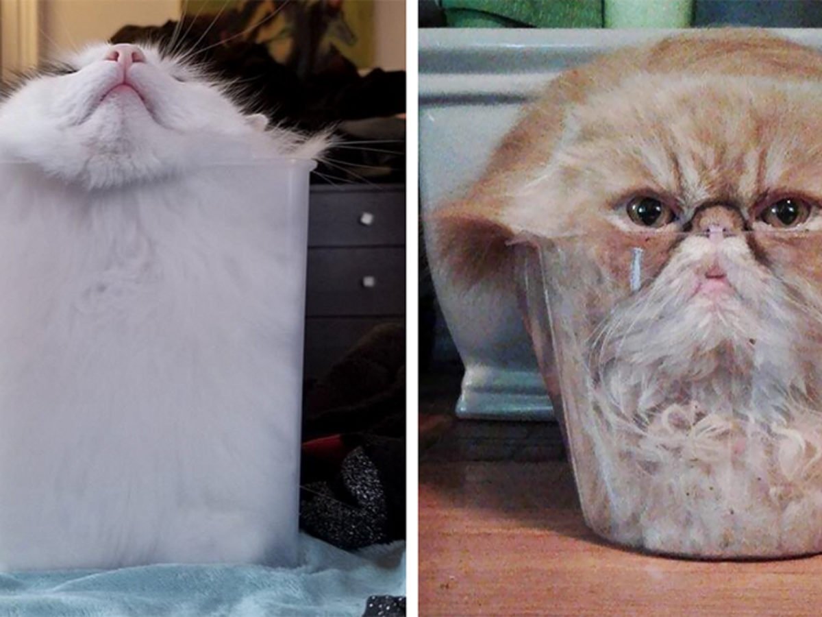 Коты это жидкость доказательство