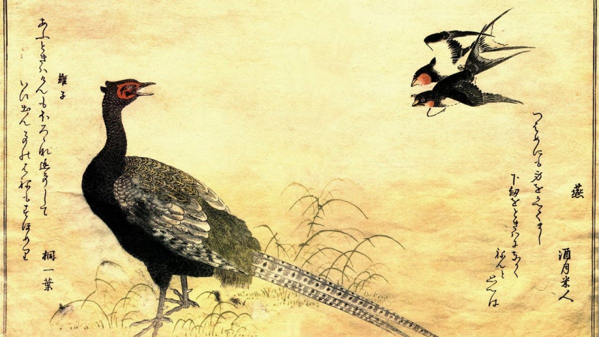 Золотой фазан живопись Китай