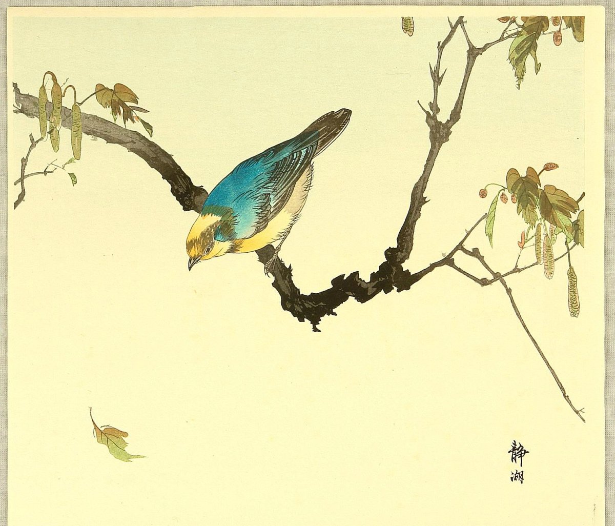 Кукушка японская гравюра