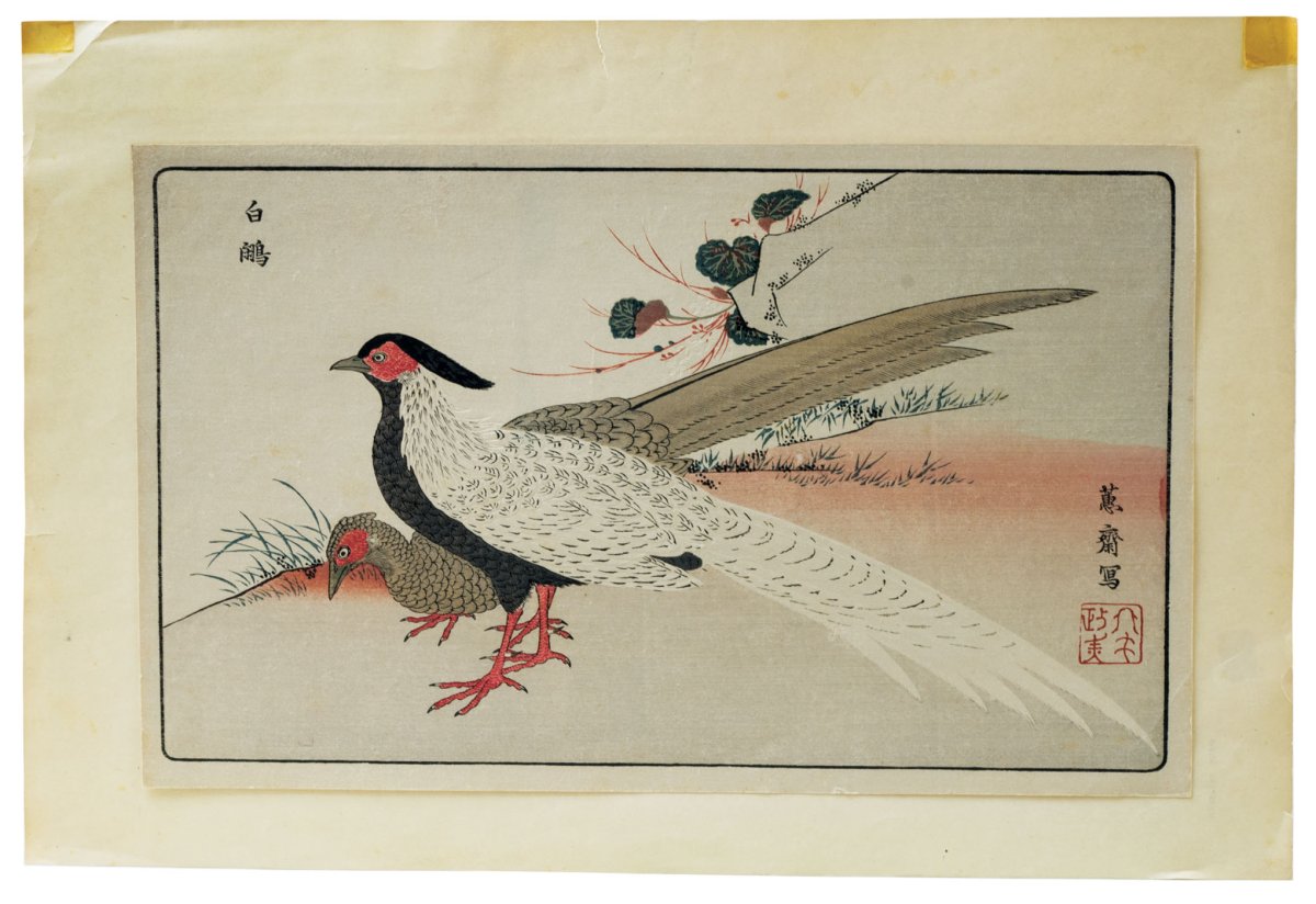 Японская гравюра утки