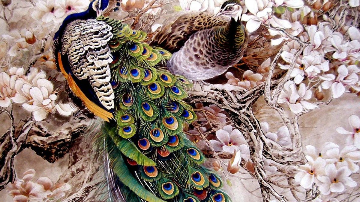 Вриндаван Павлин