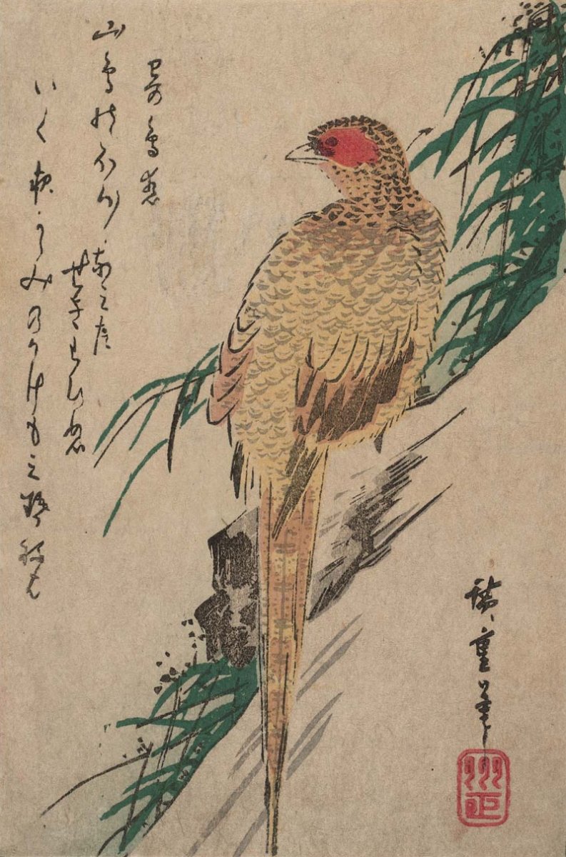 Японские Гравюры укиё-э птица