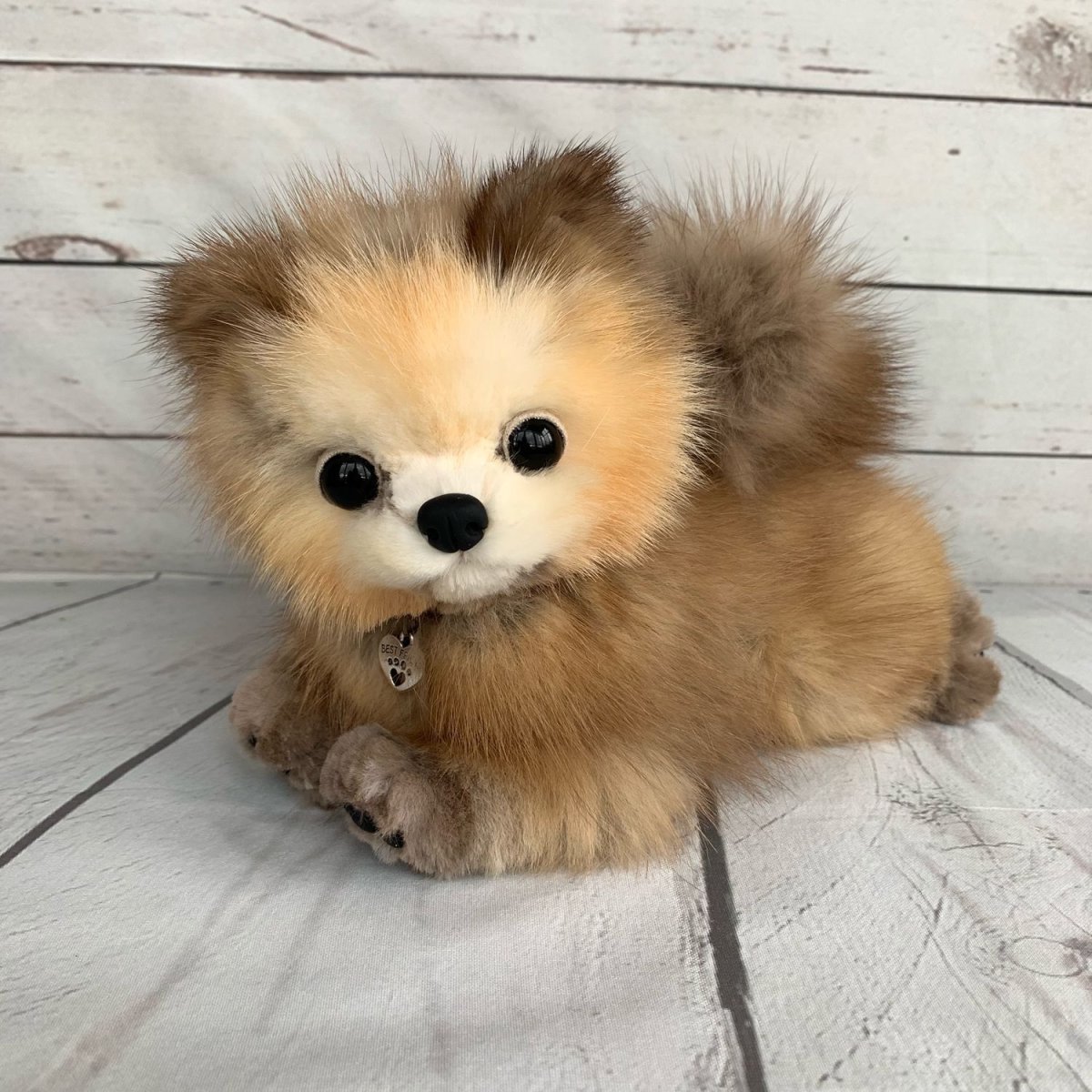 Мальтипу карликовый