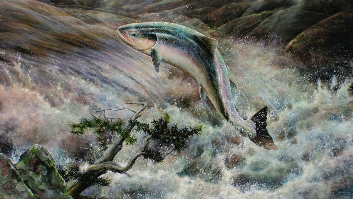 Рыба горных рек