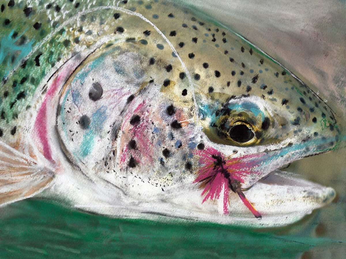 Сайменский лосось