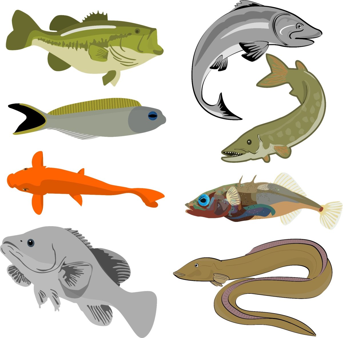 Коллекция рыб для детей