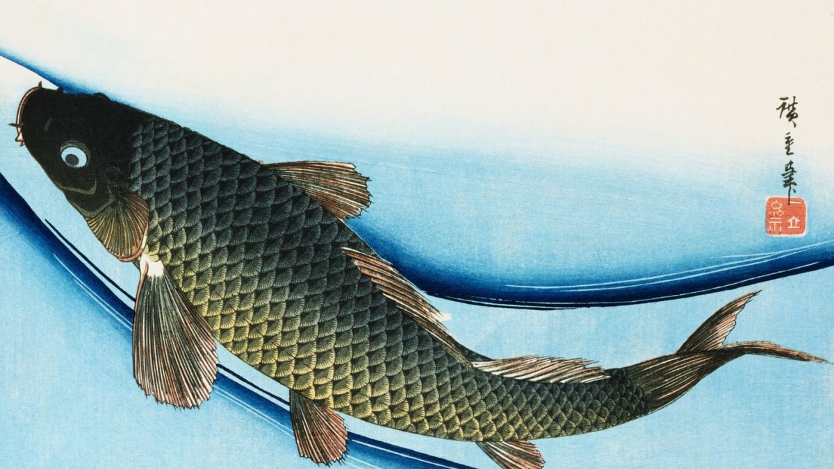 Японские Пресноводные рыбы