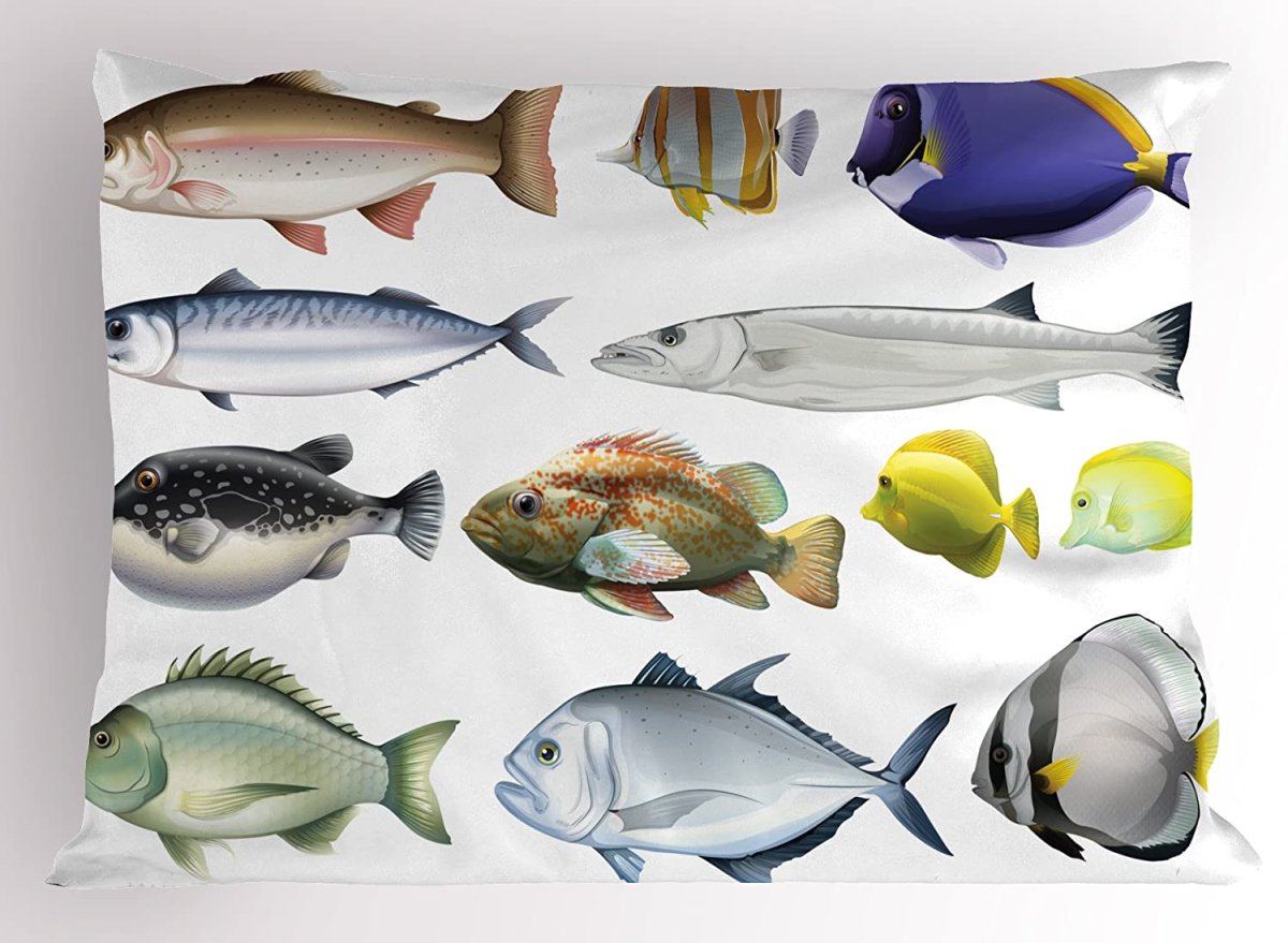 Разные рыбки на белом фоне