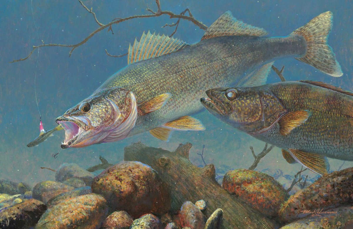 Марк Сузино