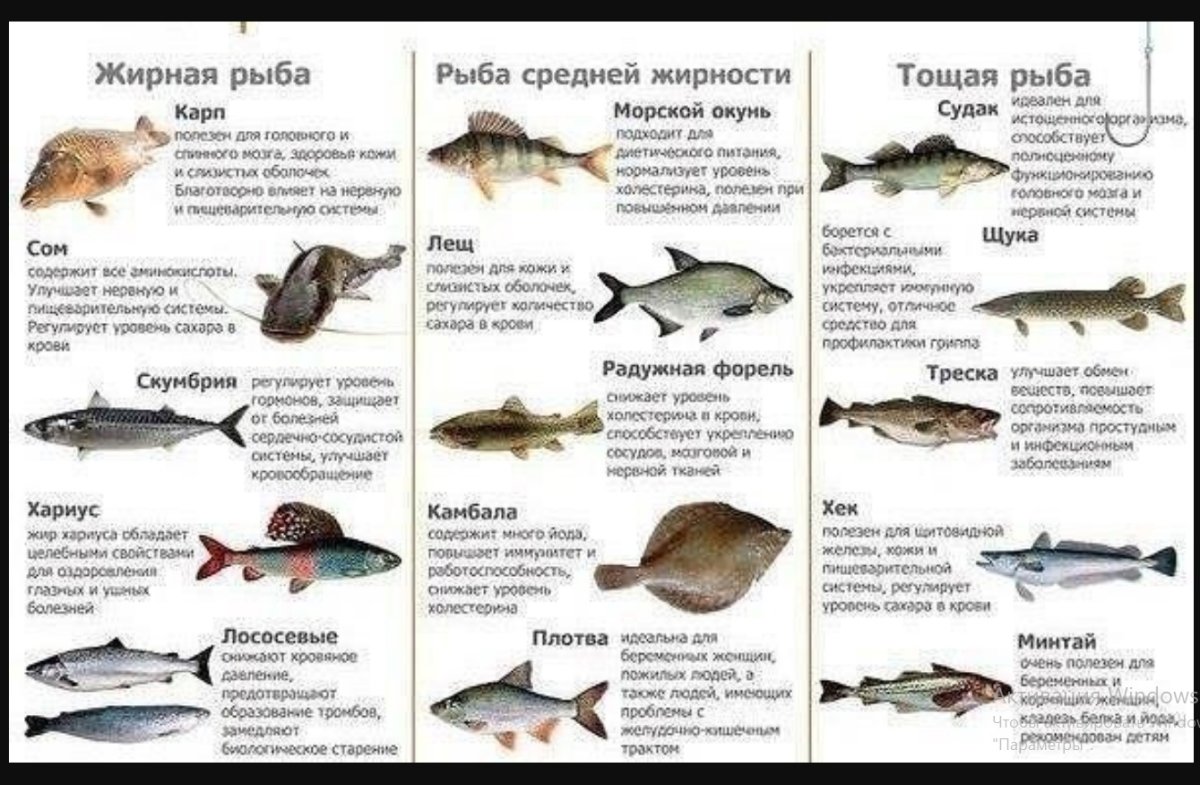 Классификация рыбы по содержанию жира
