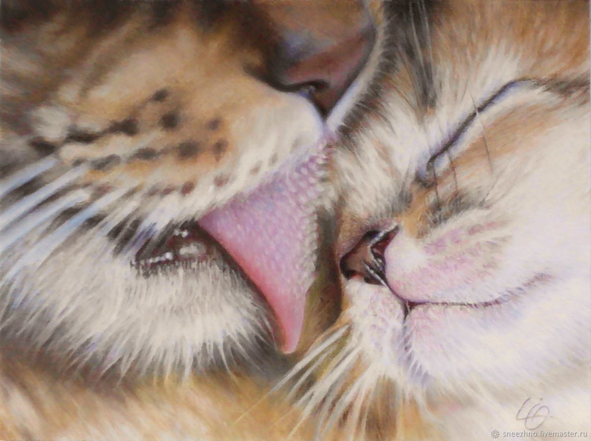 Сладкие котики обнимаются