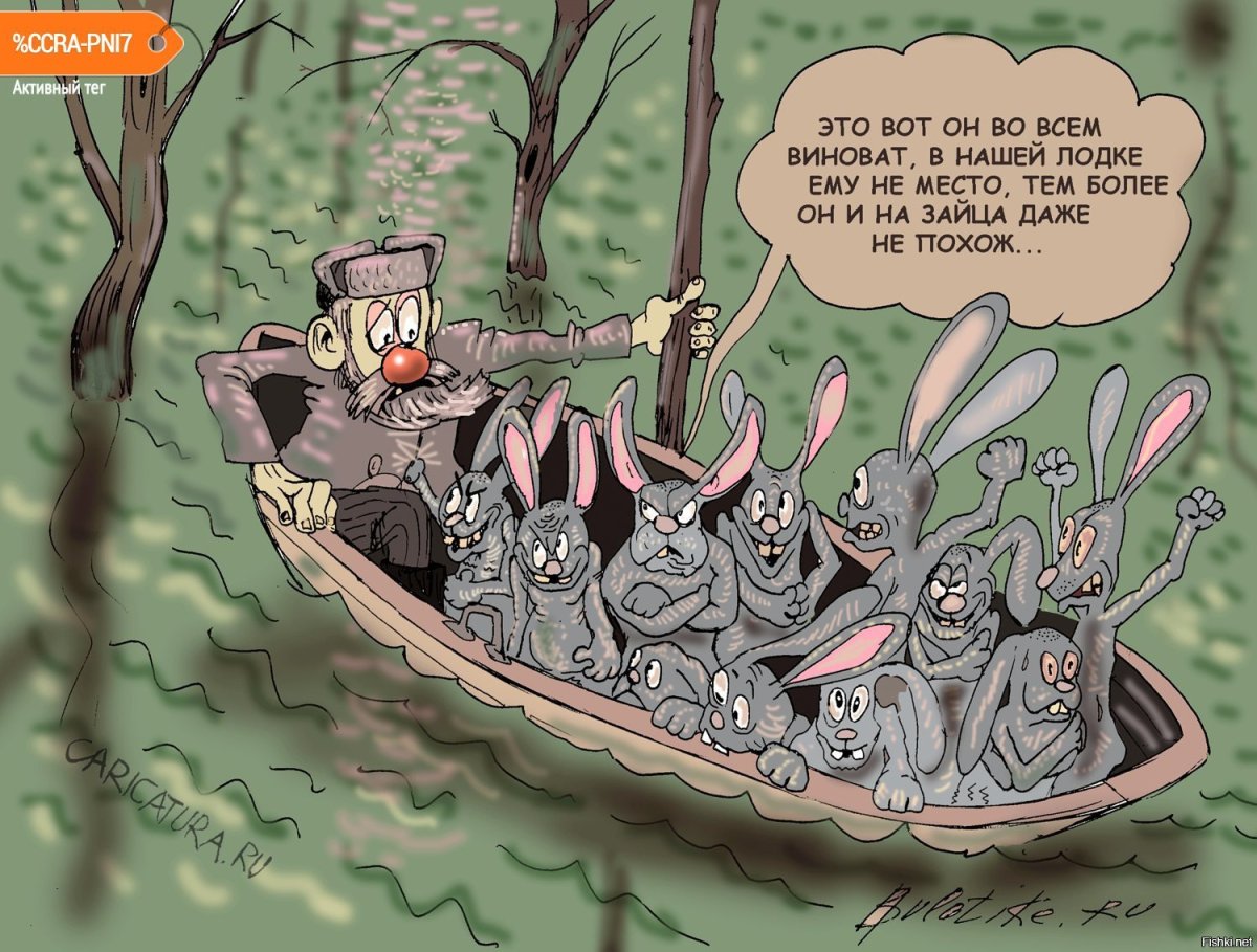 Флоридский кролик