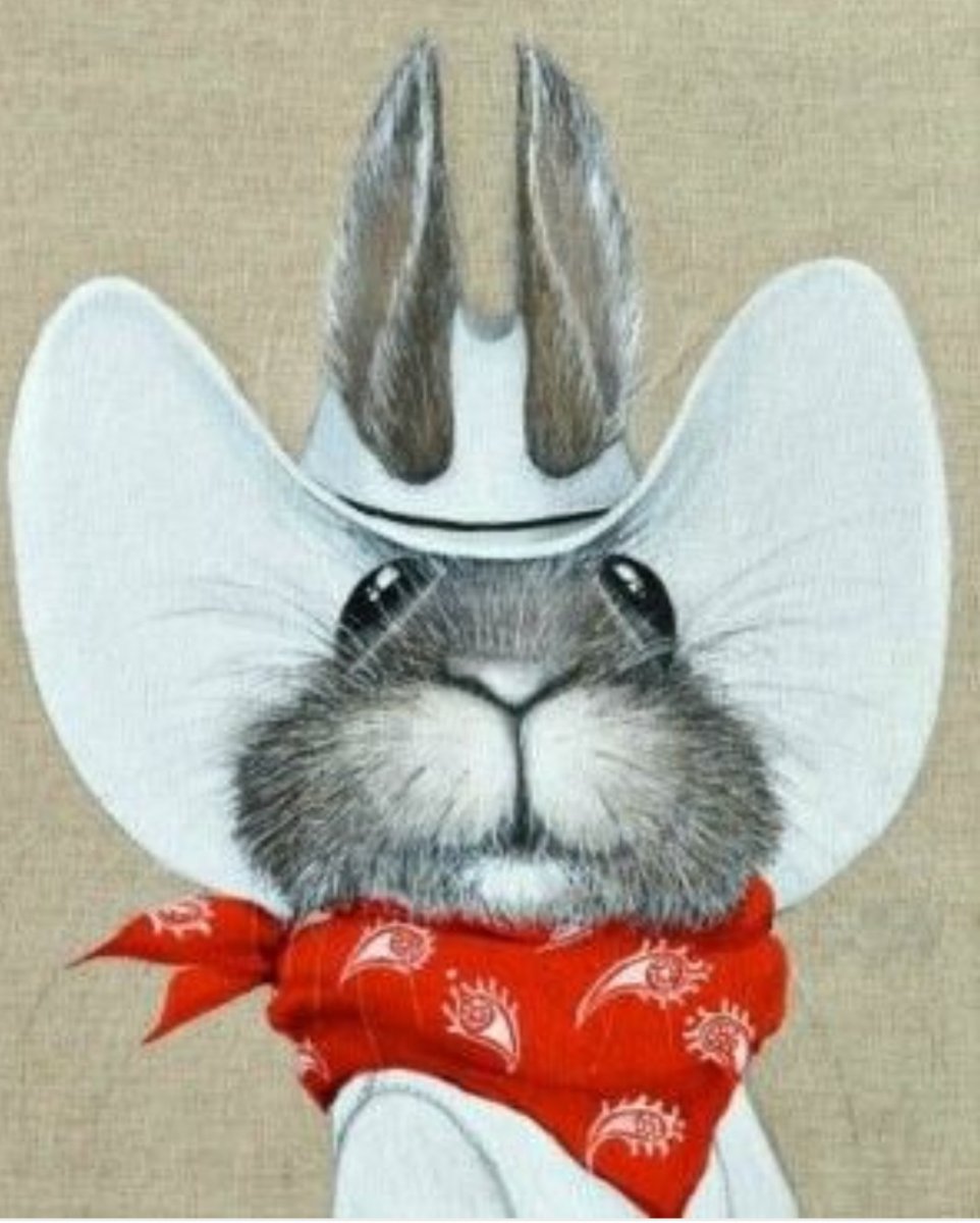 Палеоценовая фауна Северной Америки