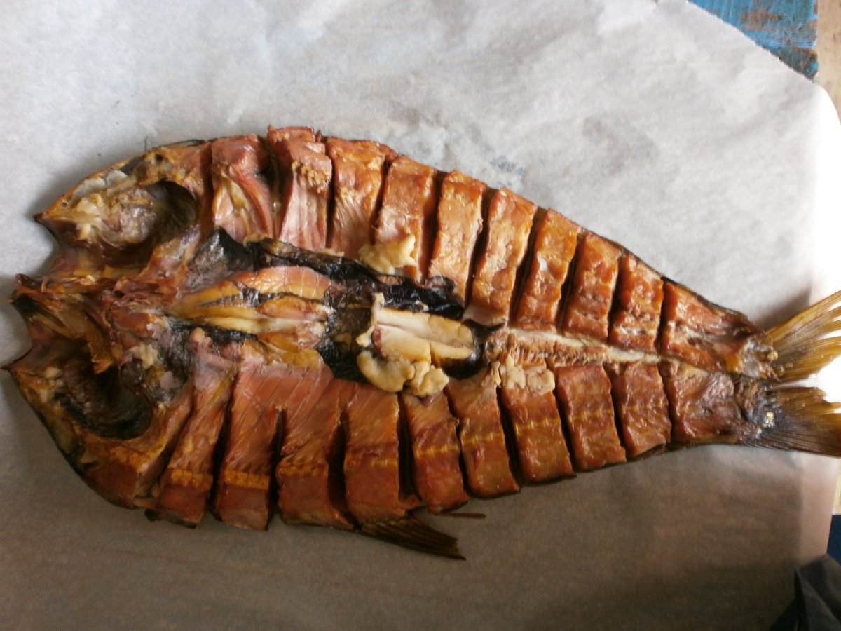 Толстолобик реальная рыбалка