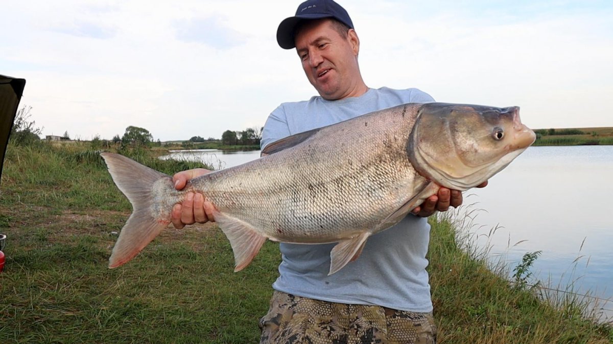Платный пруд рогатый Эртильский район