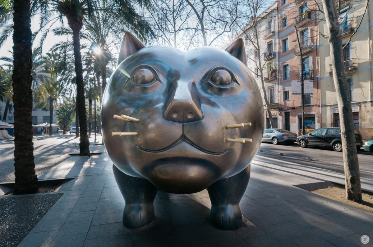 Кошка у дома в Испании