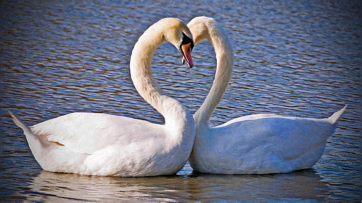2 Лебедя