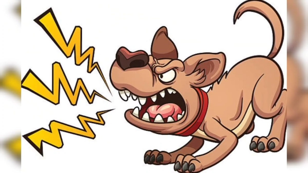 Если вас укусила злая собака не отчаивайтесь