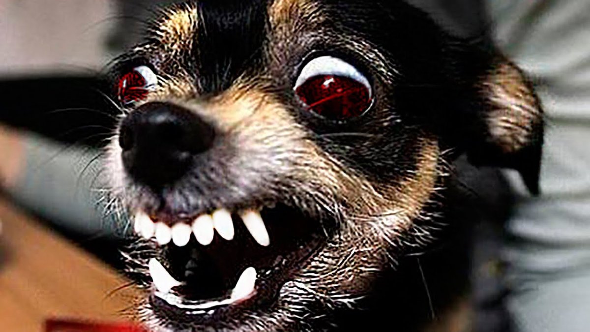 Крутые эмблемы