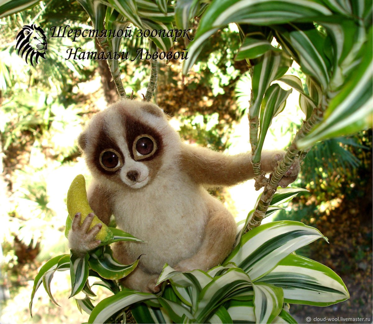 Лемур Лори