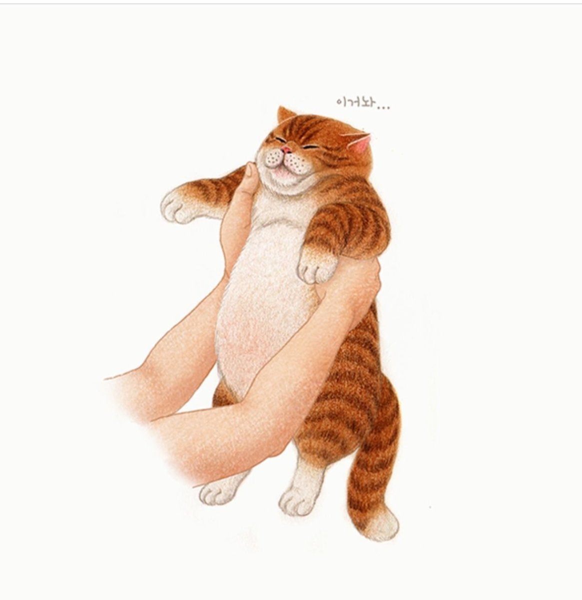 Обожравшийся кот