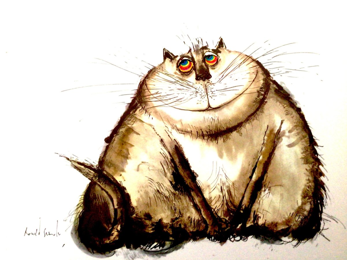 Милый толстый рыжий кот