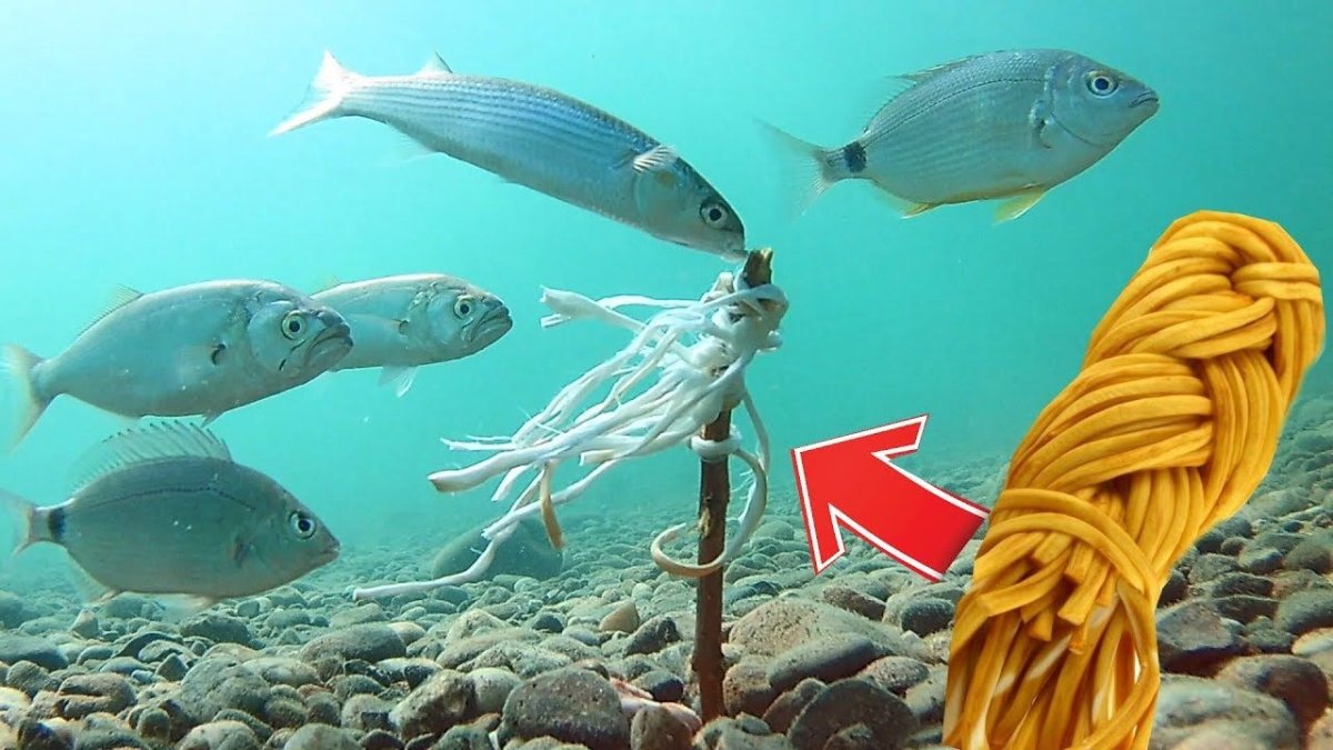 Рыбки черного моря