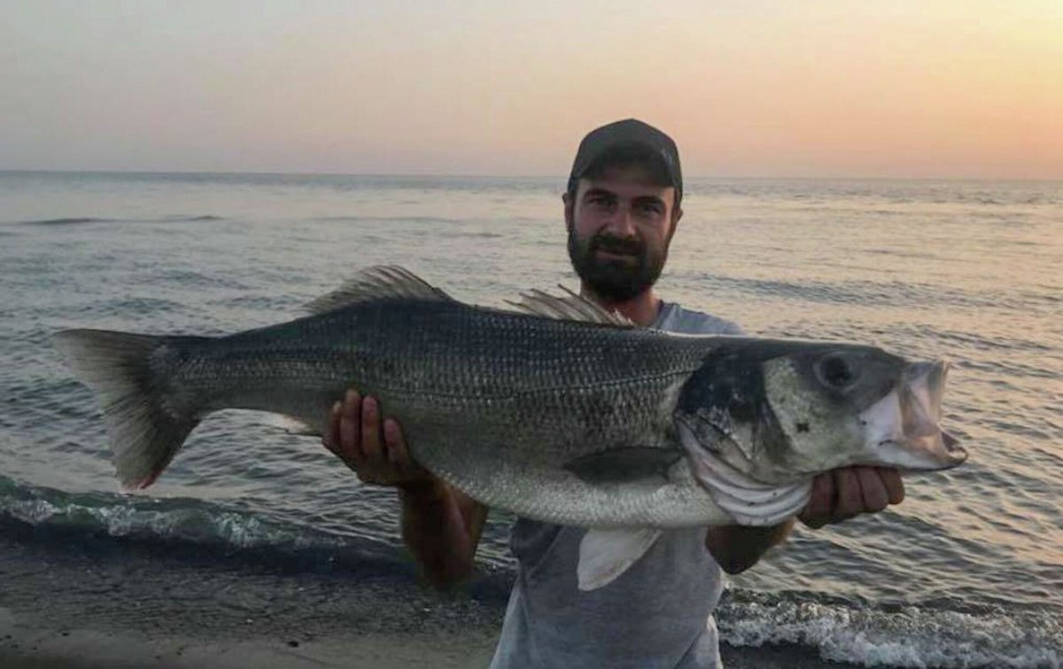 Морской дракон рыба черного моря