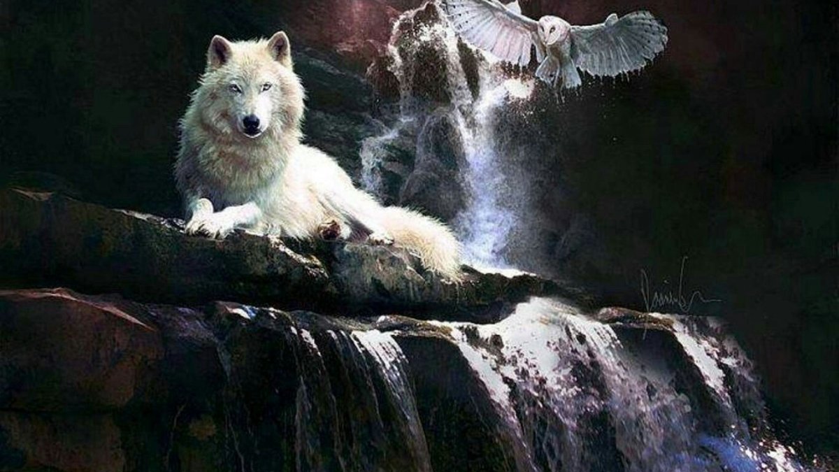 Оборотни Волчья стая Сумерки