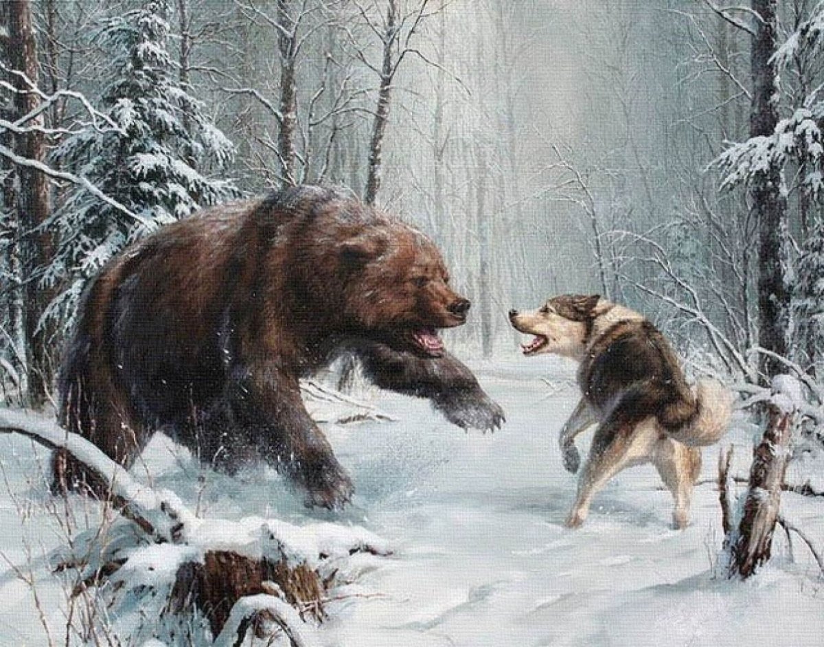 Волчица спит