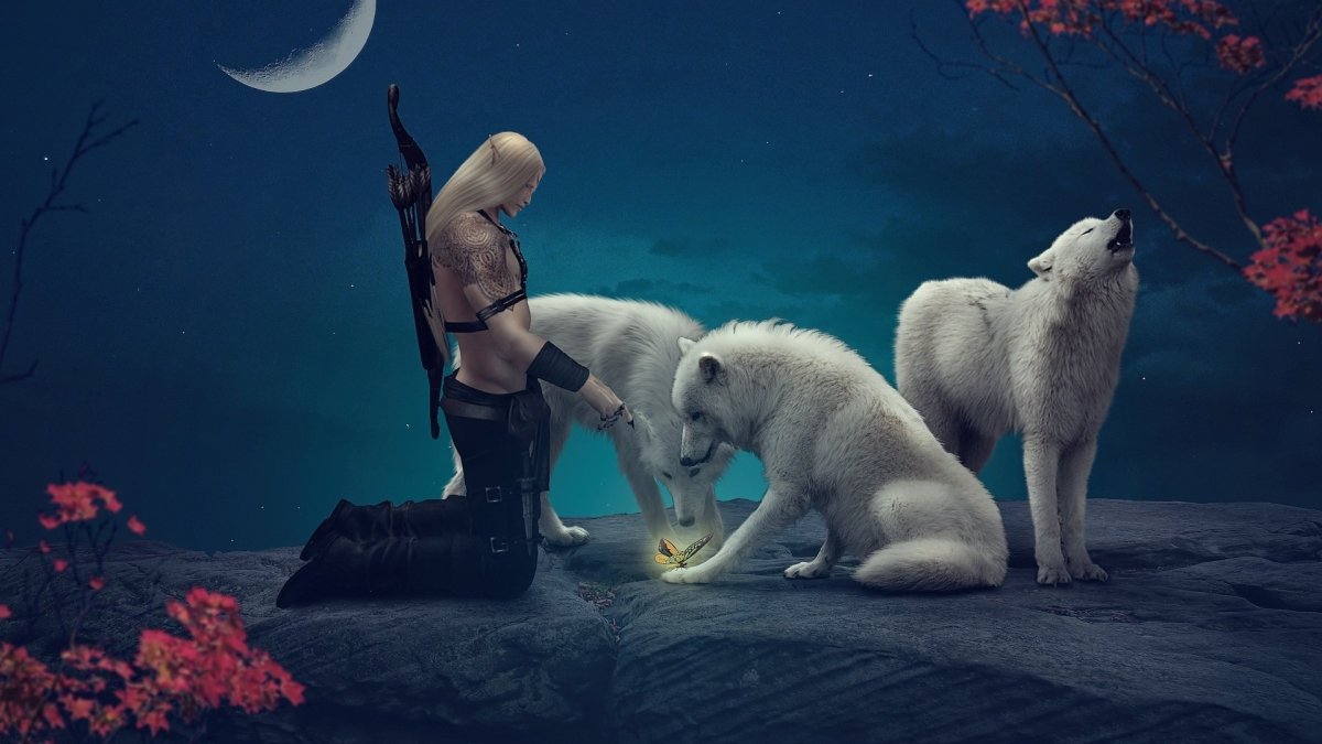 Девушка и медведь