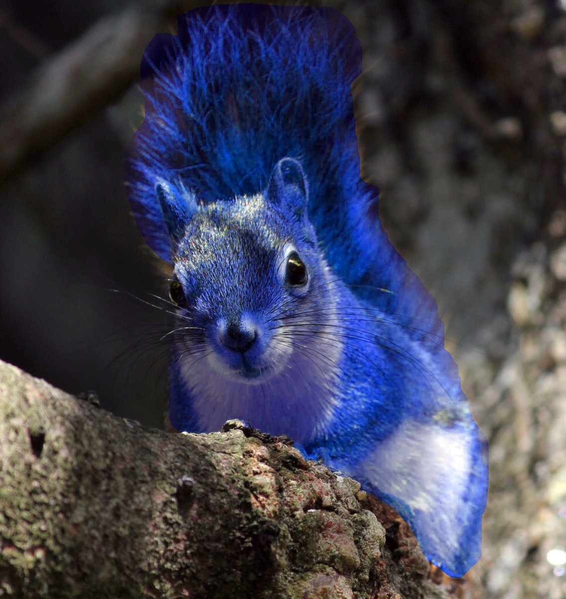 Фиолетовые животные