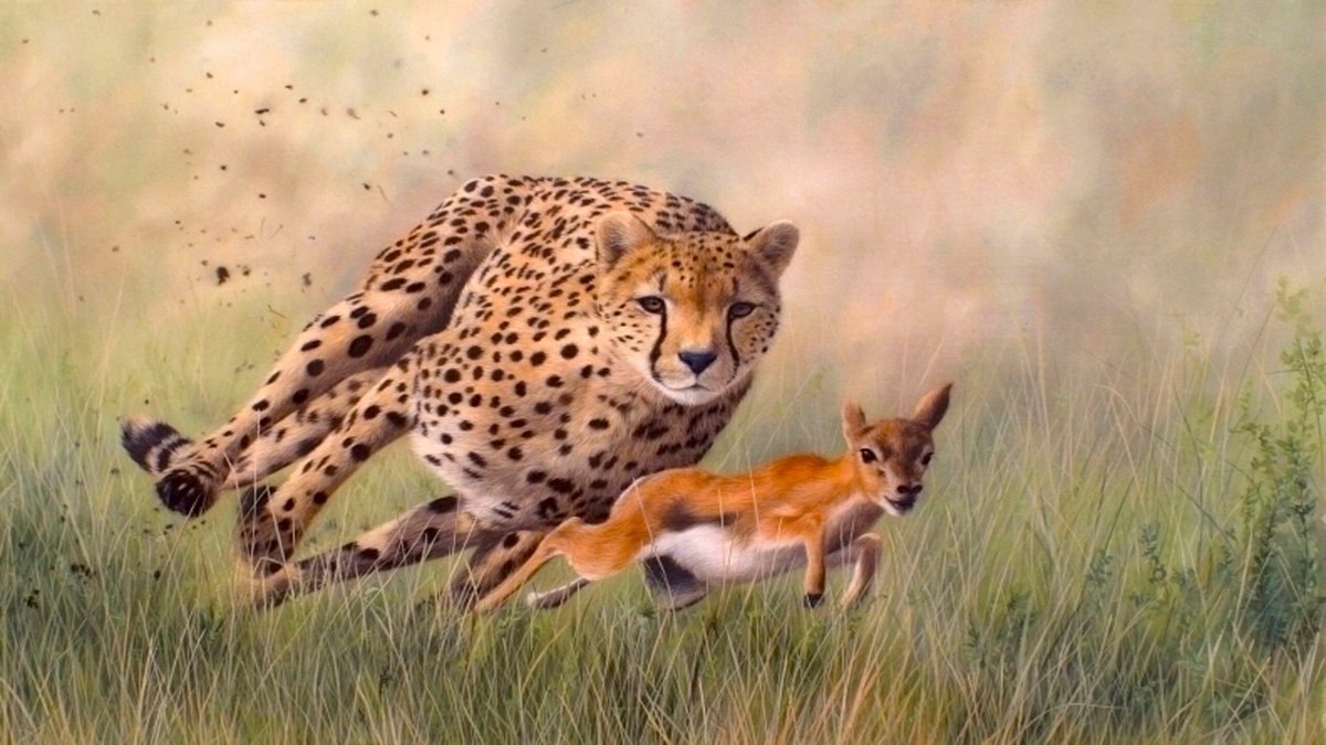 Лев охотится