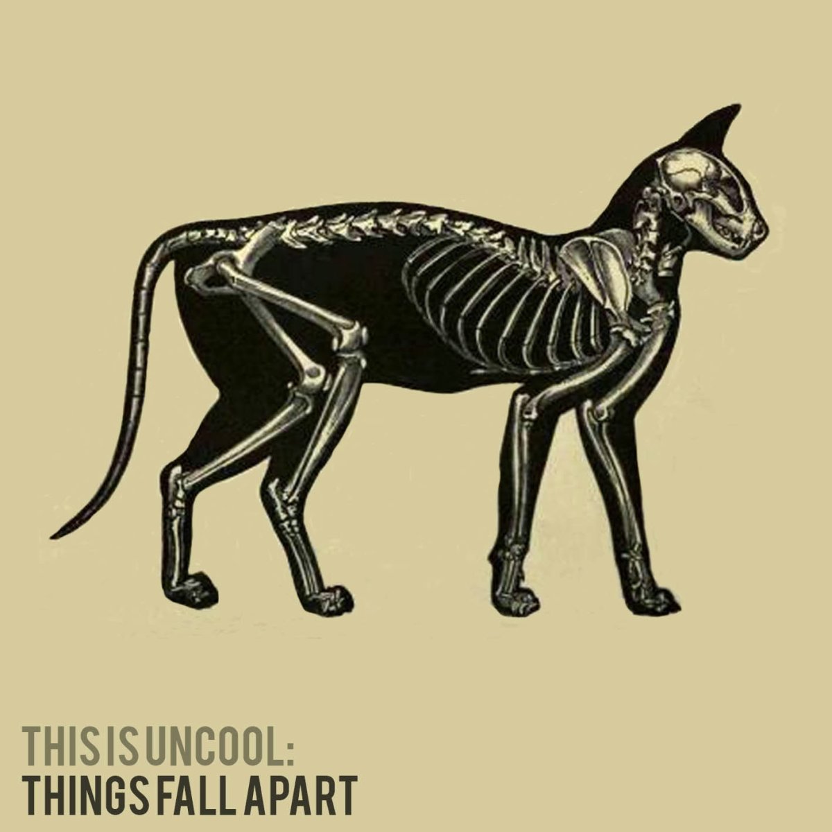 Рентген гр клетки