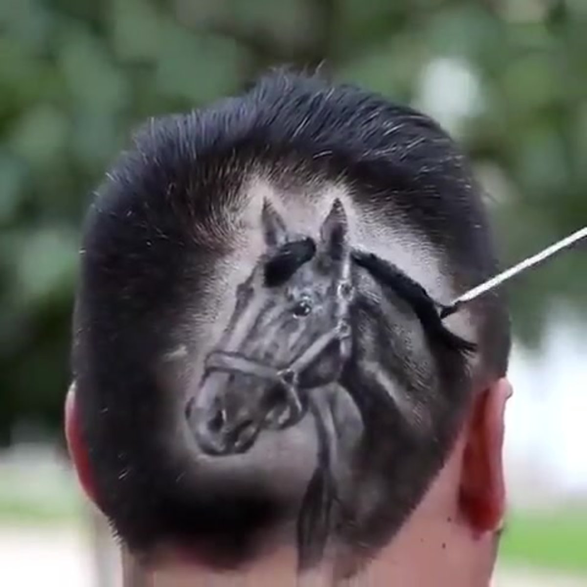 Прическа конь на голове