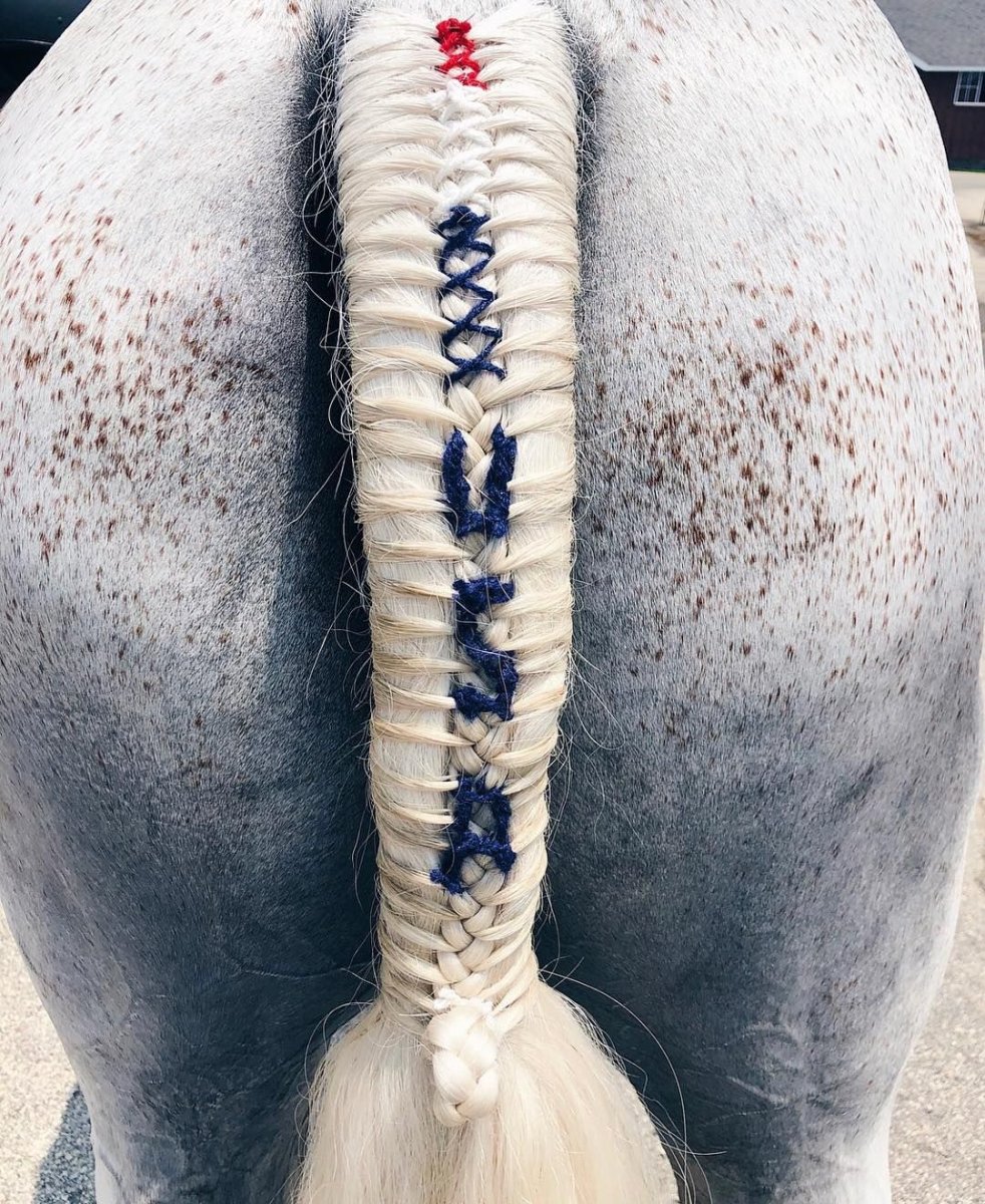Ленточки на хвосте лошади