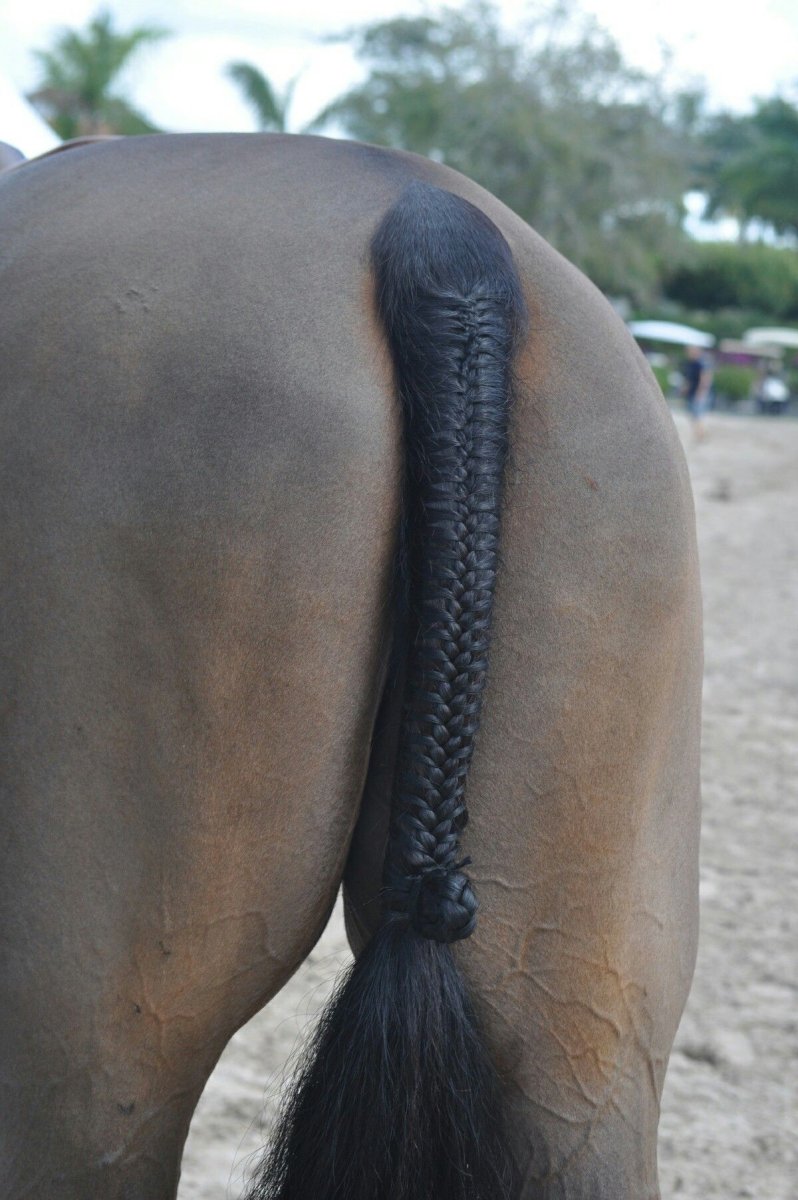 Хвост лошади