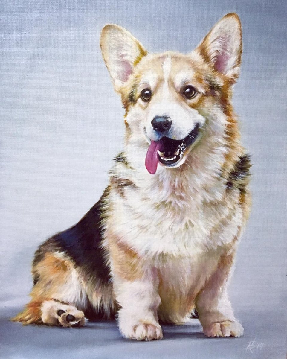 Собака-улыбака порода корги