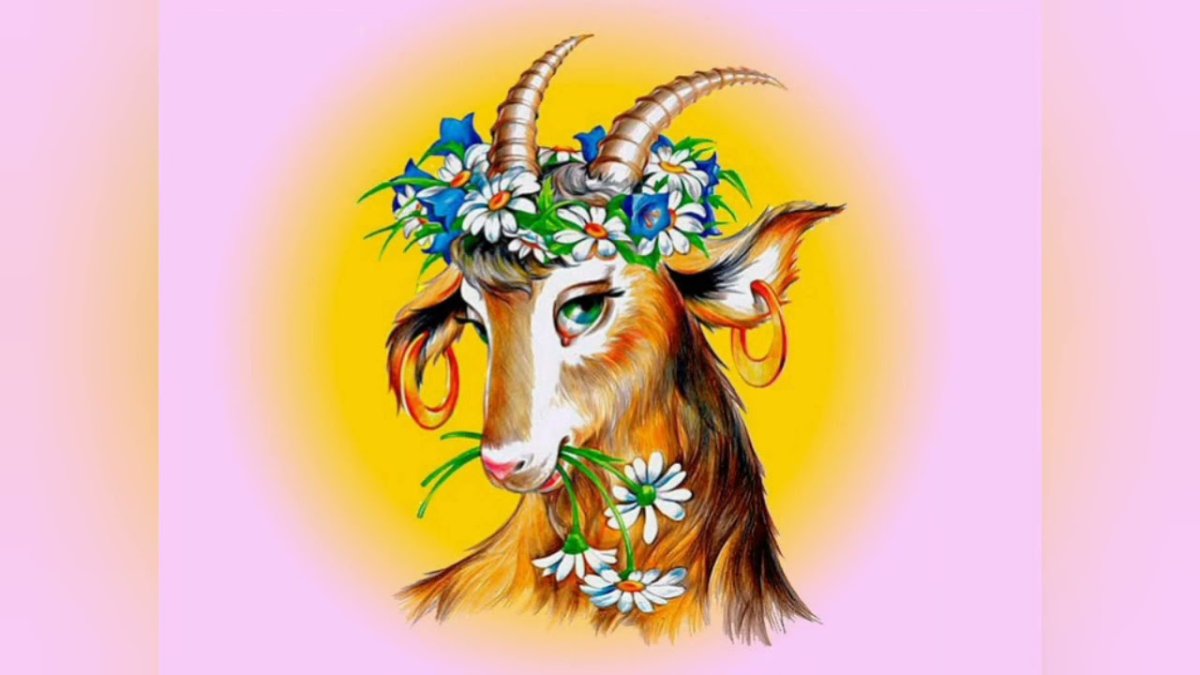 Коза рогатая Буренка