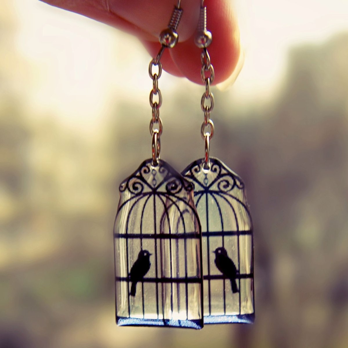 Птица вылетает из клетки