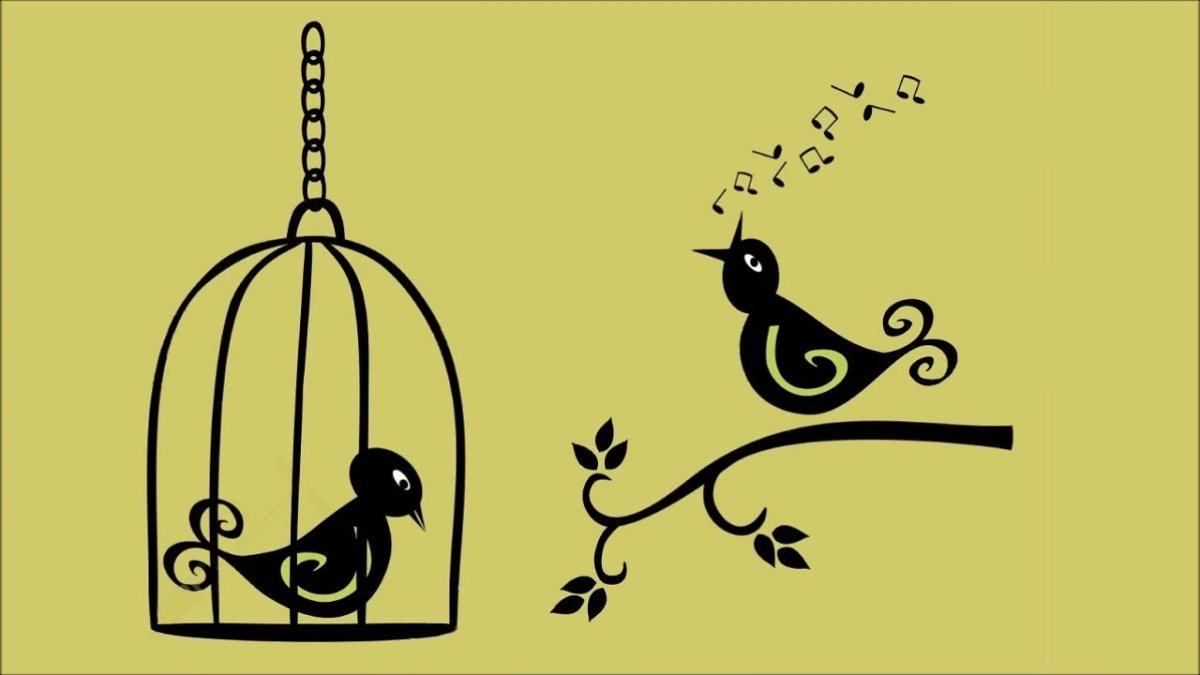 Птица в клетке с открытой дверцей