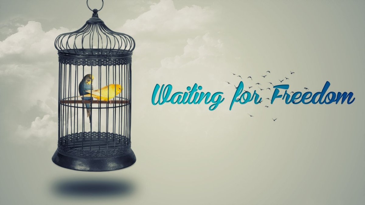 Даниэль Гуссенс