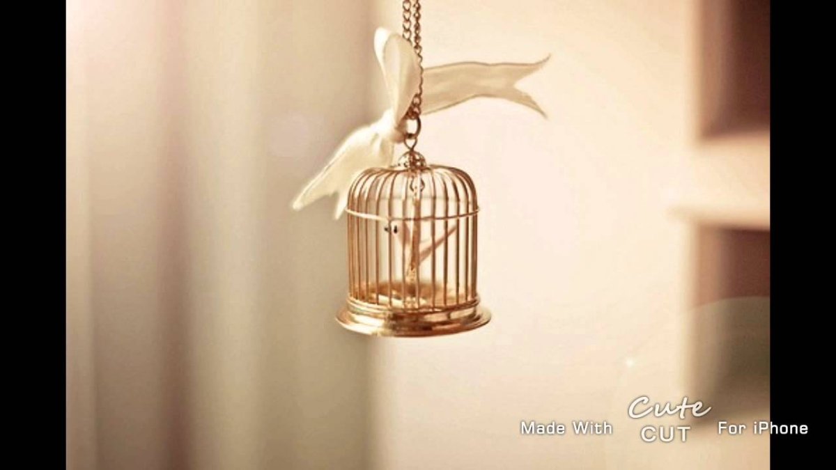 Птичья клетка силуэт