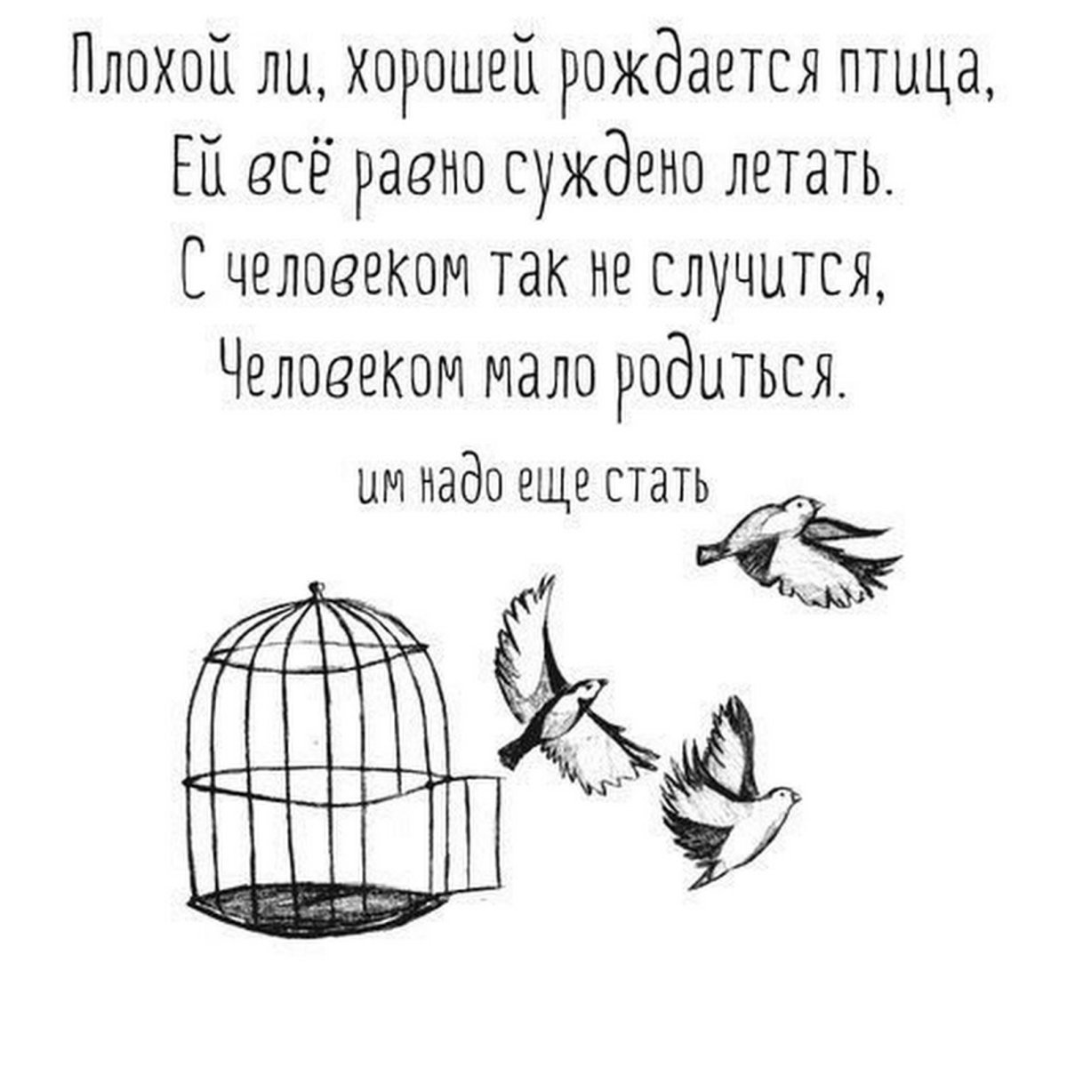 Канарейка в клетке вектор