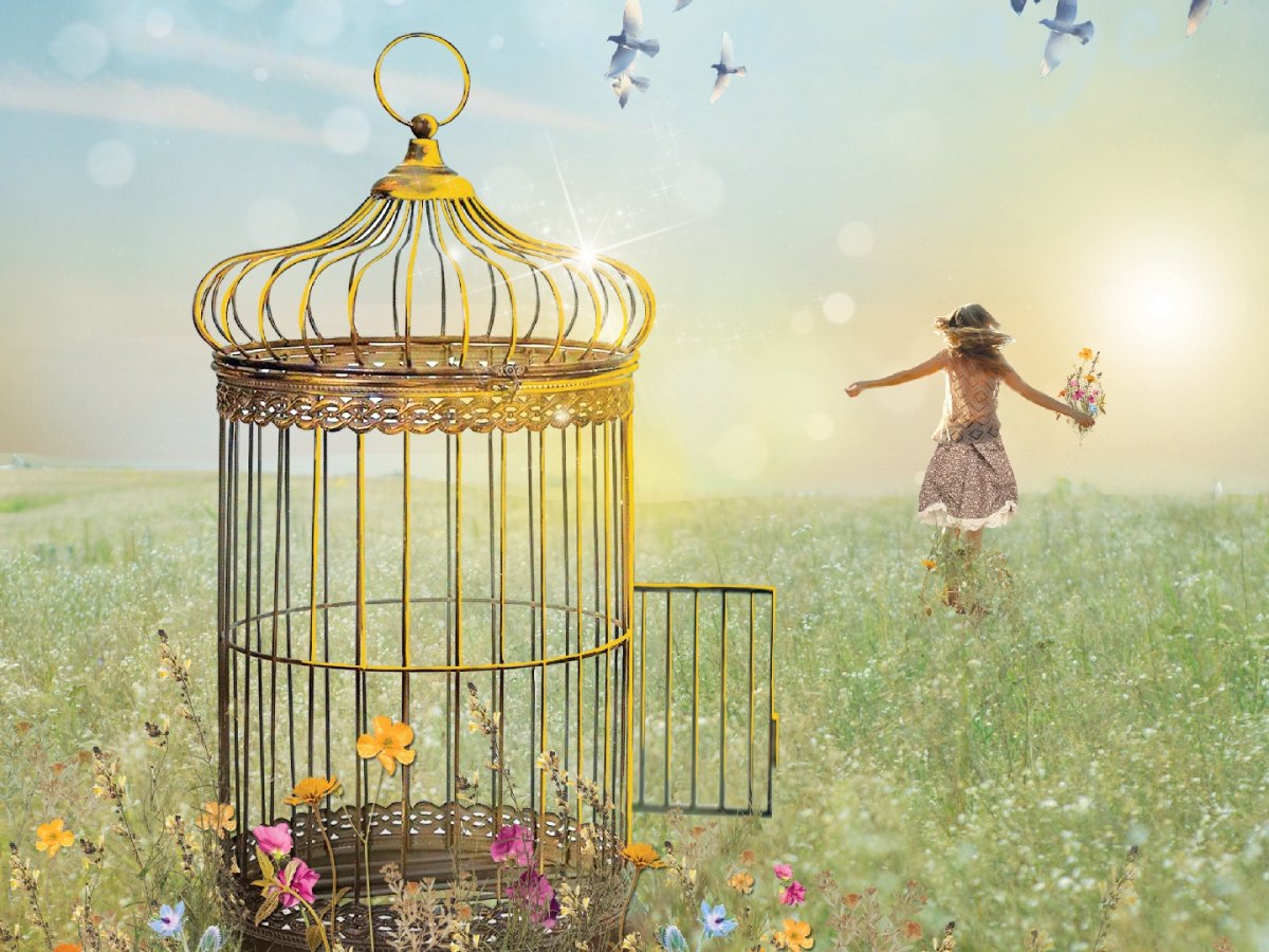 Выпустить птицу из клетки