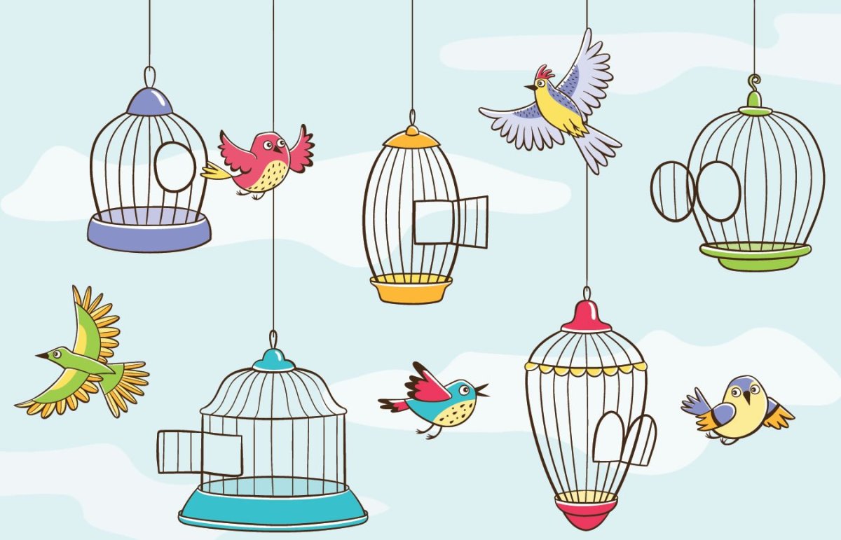 Птица в клетке