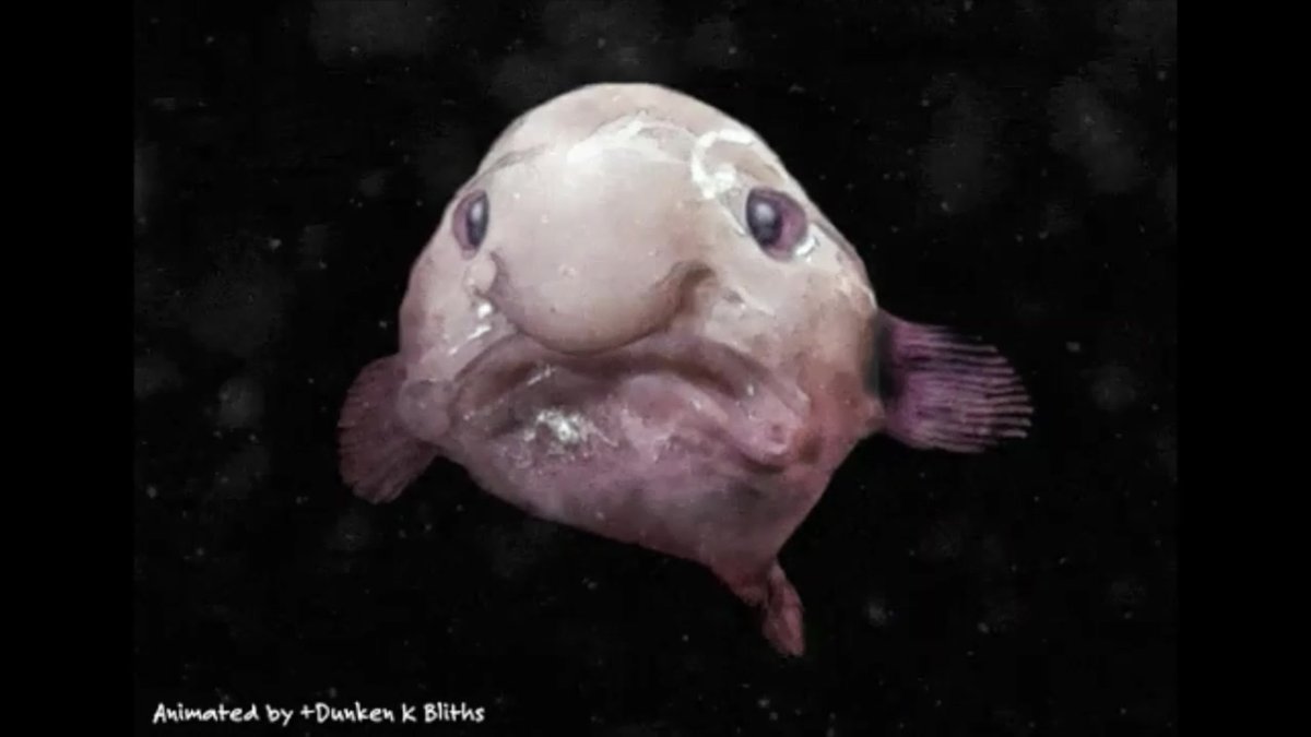 Рыба с грудью