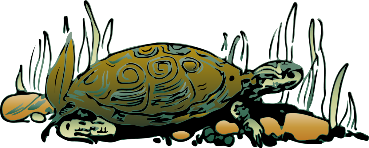 Скорпион земной