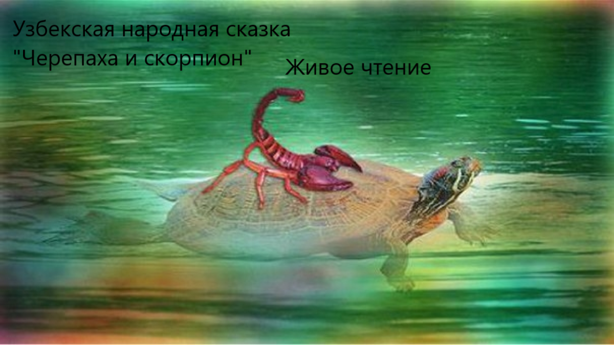 Черепаха и Скорпион узбекская сказка