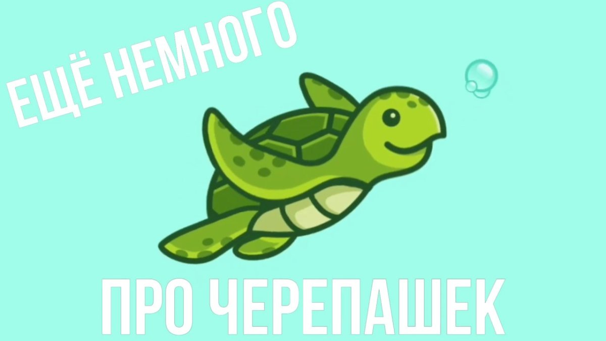 Земноводные крокодил черепаха